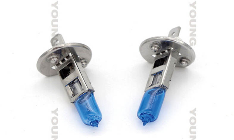 H1 Halogen Bulbs DC12V 55W 6000K Xenon High Beams White Car Headlight Auto Lamps Lights