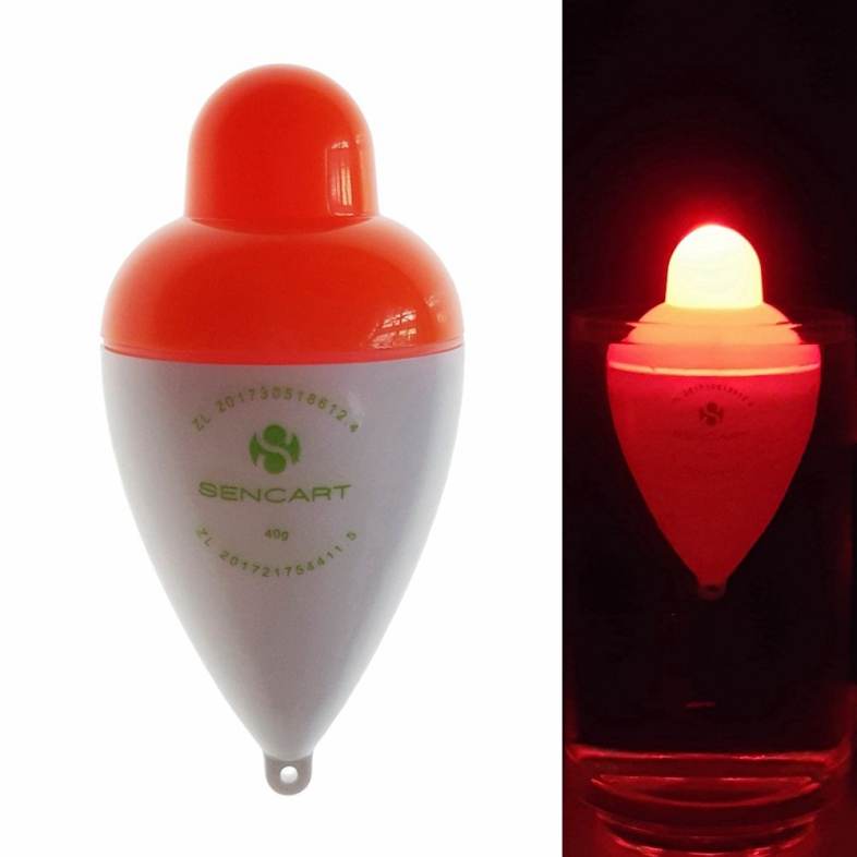 Sencart LED Luminous Fishing Float Buoy Vertical Floats Bobbers Tackle    Battery CR2032
