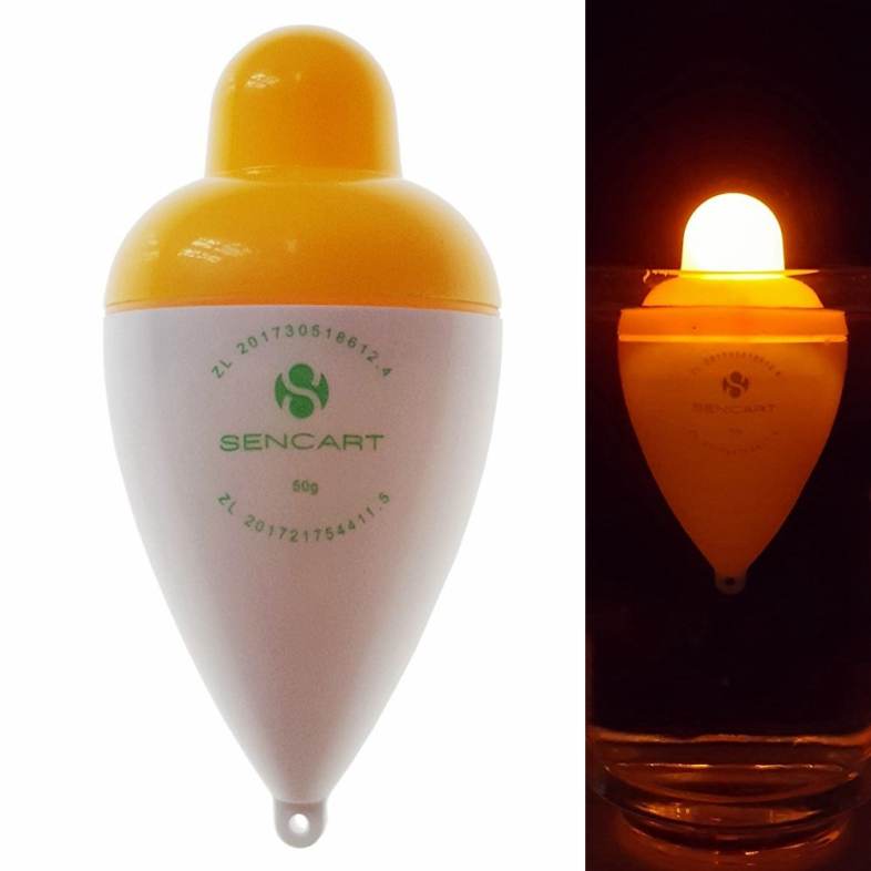 Sencart LED Luminous Fishing Float Buoy Vertical Floats Bobbers Tackle    Battery CR2032