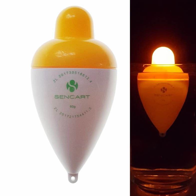 Sencart LED Luminous Fishing Float Buoy Vertical Floats Bobbers Tackle    Battery CR2032
