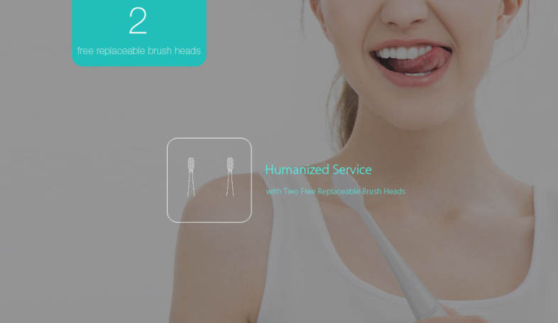 SEAGO SG - 915 Sonic Toothbrush Dental Safeguards Oral Health Care Cleaning Tools with Replaceable Brush Head