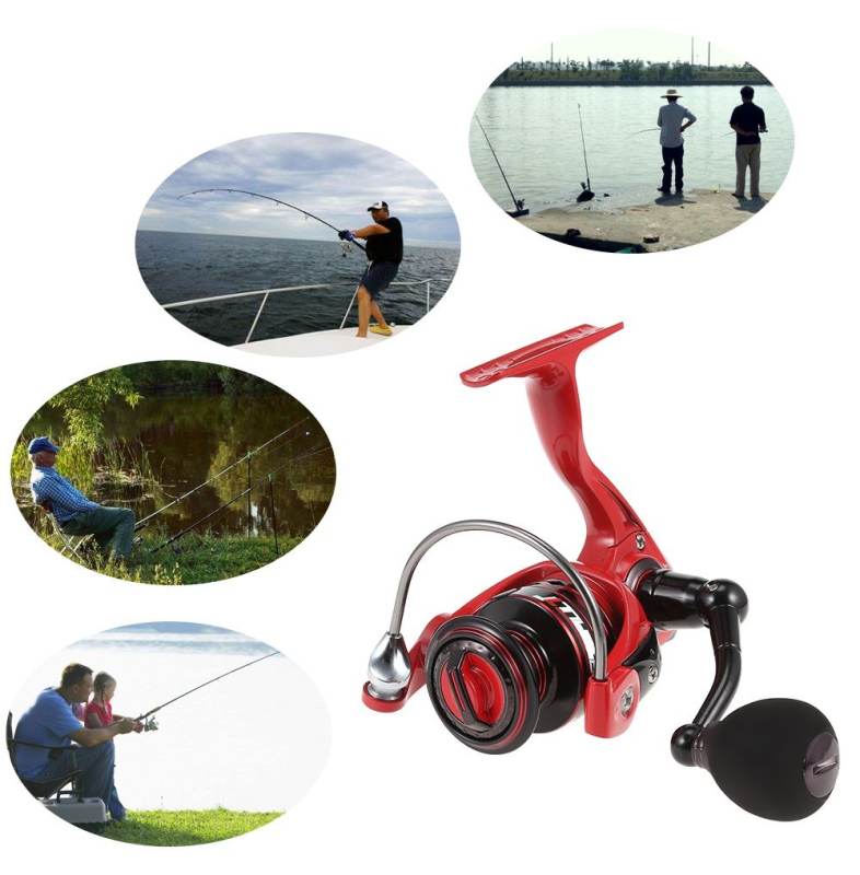 Lizard AST Series 13   1 Ball Bearings 5.2:1 Spinning Fishing Reel