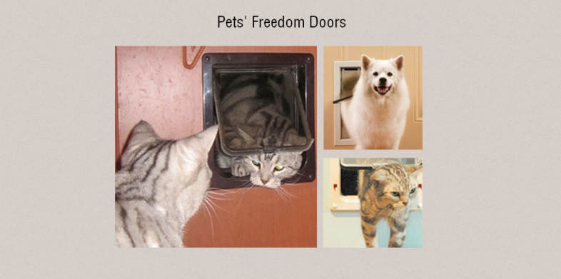 Kimpets Lockable Dog Cat Security Flap Door