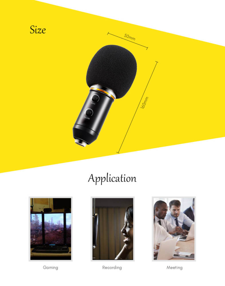 BM - 300FX Audio Sound Recording Condenser Microphone with Foldable Tripod