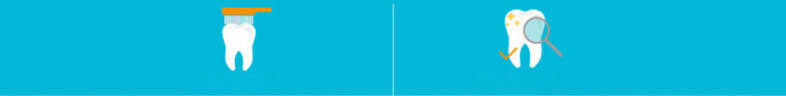 SEAGO SG - 659 Waterproof Sonic Electric Toothbrush Intelligent 2-min Timing with 3 Brush Heads