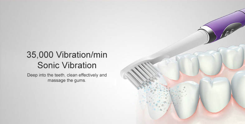 SEAGO SG - 659 Waterproof Sonic Electric Toothbrush Intelligent 2-min Timing with 3 Brush Heads