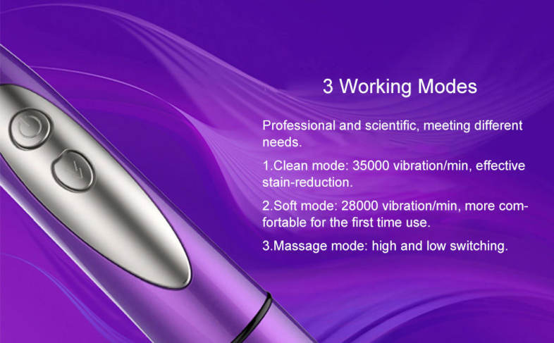 SEAGO SG - 659 Waterproof Sonic Electric Toothbrush Intelligent 2-min Timing with 3 Brush Heads