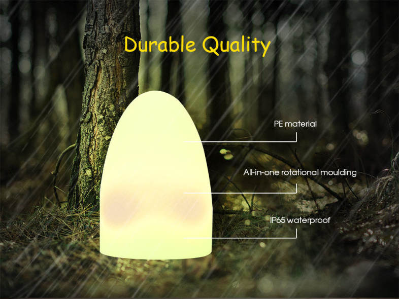 USB Rechargeable LED Egg Shape Night Light with Remote Control for Bedroom