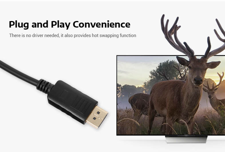 DisplayPort High-definition Video Cable Support 2560 × 1600 / 2048 × 1536