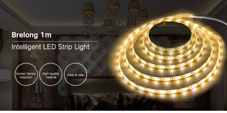 Brelong FYD - 1608 1m Intelligent Human Sensor Induction LED Strip Light