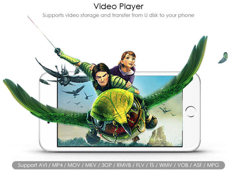 DM S3 WFD015 64GB Wireless WiFi Phone U Disk Expansion for iPhone iPad iOS / Android with LED Indicator Light