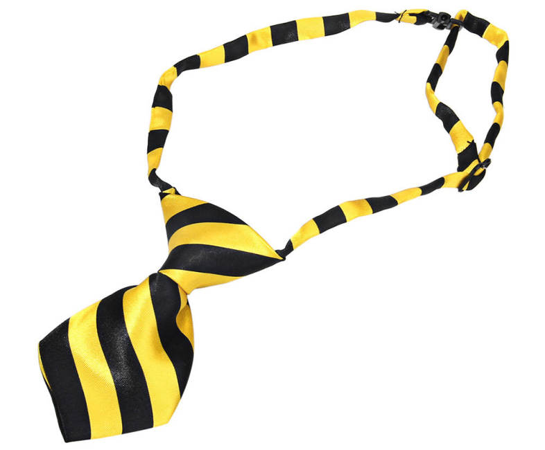 20160601160105_49721.jpg/c80