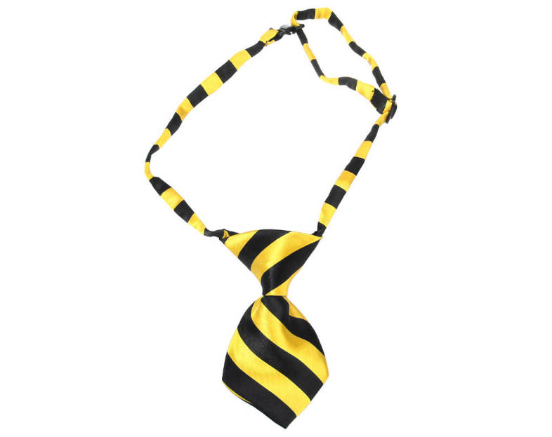 20160601160105_48068.jpg/c80