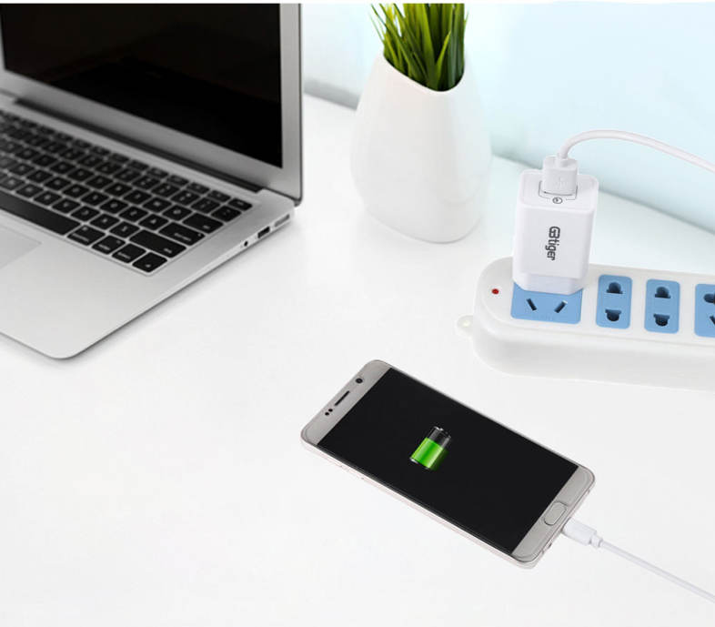 GBTIGER Qualcomm Certificated QC 2.0 Single USB Travel Charging Adapter with USB Cable
