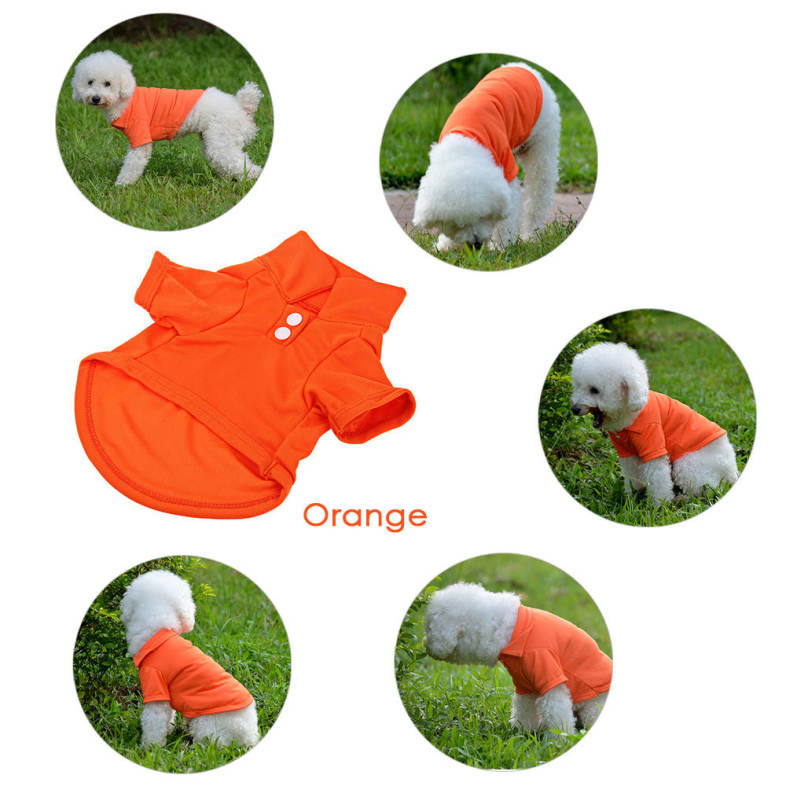 20160606110713_87388.jpg/c80