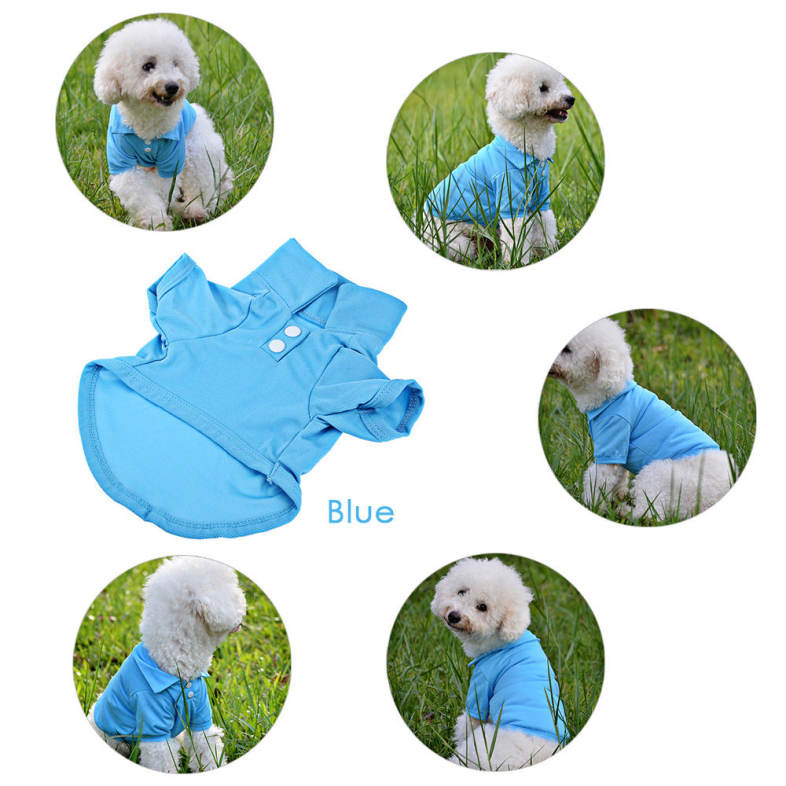 20160606110713_62590.jpg/c80