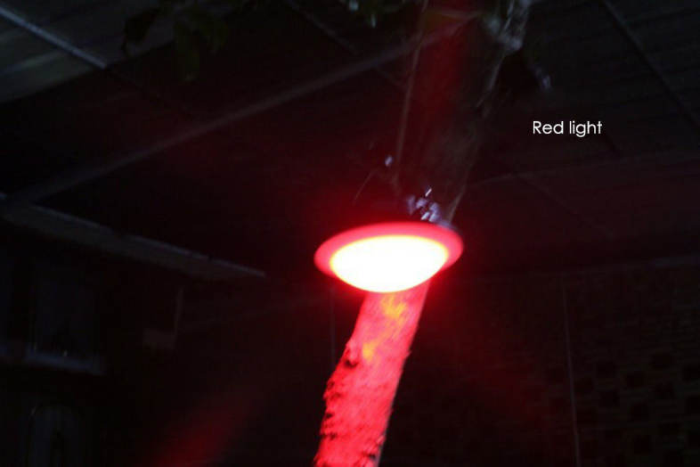 20160611163657_13309.jpg/c80