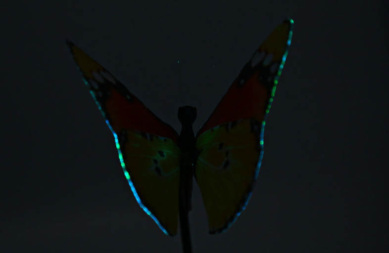 20160625140050_79423.jpg/c80