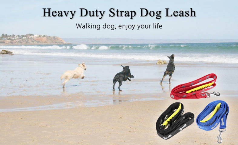 20160709140515_10642.jpg/c80