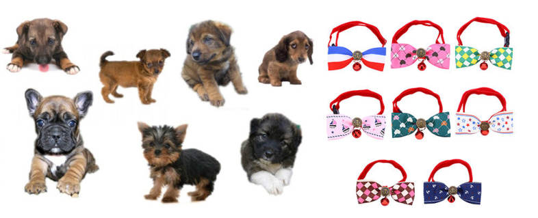 20160727115005_90935.jpg/c80