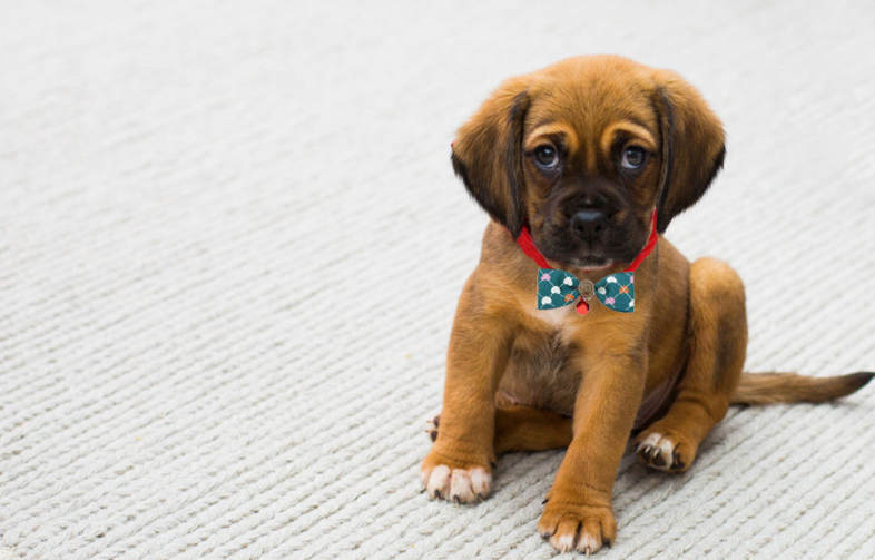 20160727115005_85194.jpg/c80