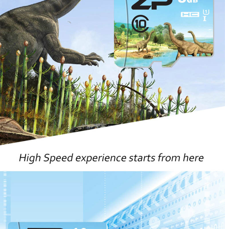 ZP Herbivorous Dinosaur Micro SDXC Card Data Storage Gadget