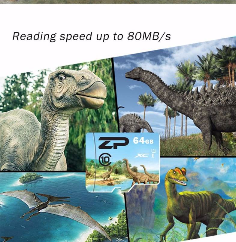 ZP Herbivorous Dinosaur Micro SDXC Card Data Storage Gadget