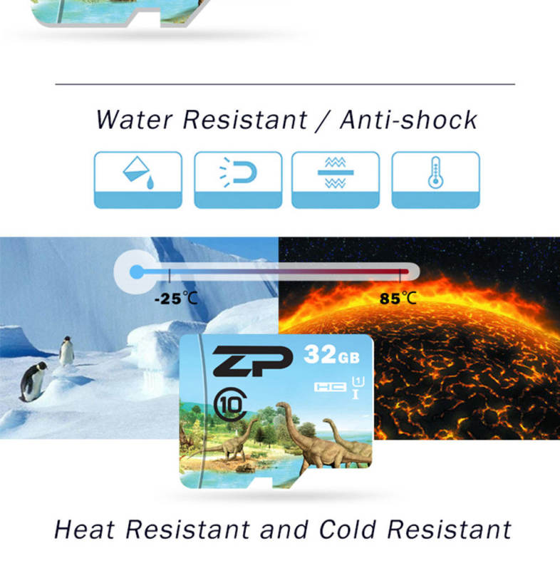 ZP Herbivorous Dinosaur Micro SDXC Card Data Storage Gadget