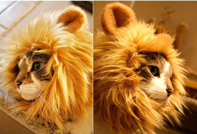 Cat Wig Collar Funny Lion Pet Ear Cosplay Hairpiece