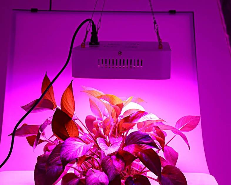 Lightme 600W ( True 220W ) LED Grow Light Panel Lamp for Hydroponics Indoor Plant with 120 LEDs