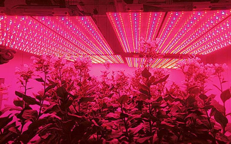 Lightme 600W ( True 220W ) LED Grow Light Panel Lamp for Hydroponics Indoor Plant with 120 LEDs