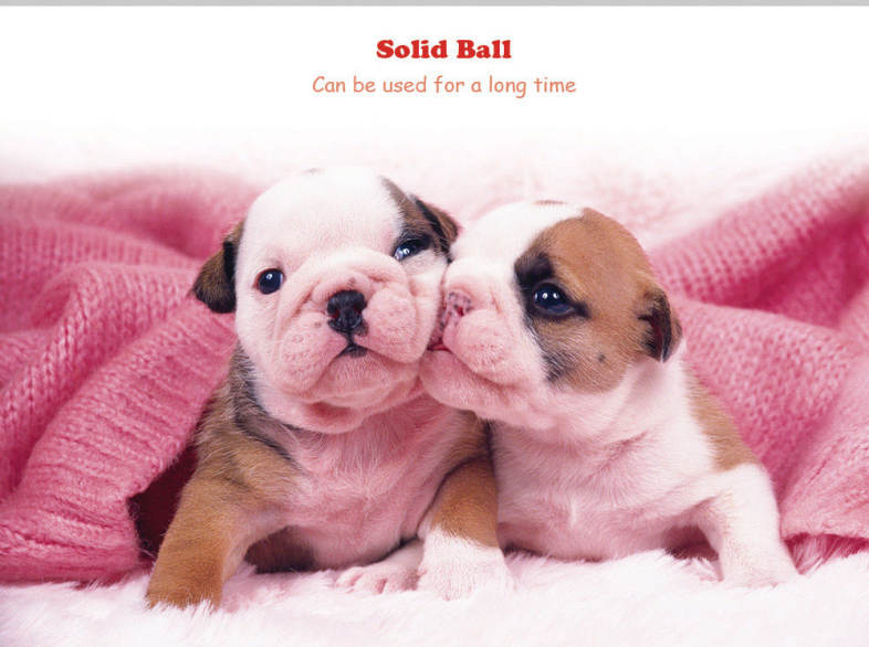 20160914162657_56406.jpg/c80