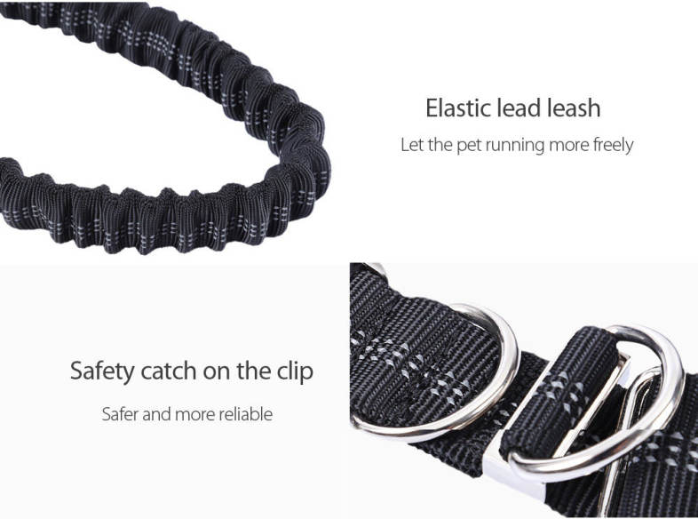 20160926103554_17789.jpg/c80