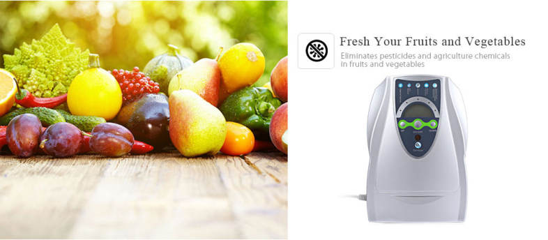 Multipurpose Air Purifier Ozone Disinfector Fruits Vegetables Sterilization