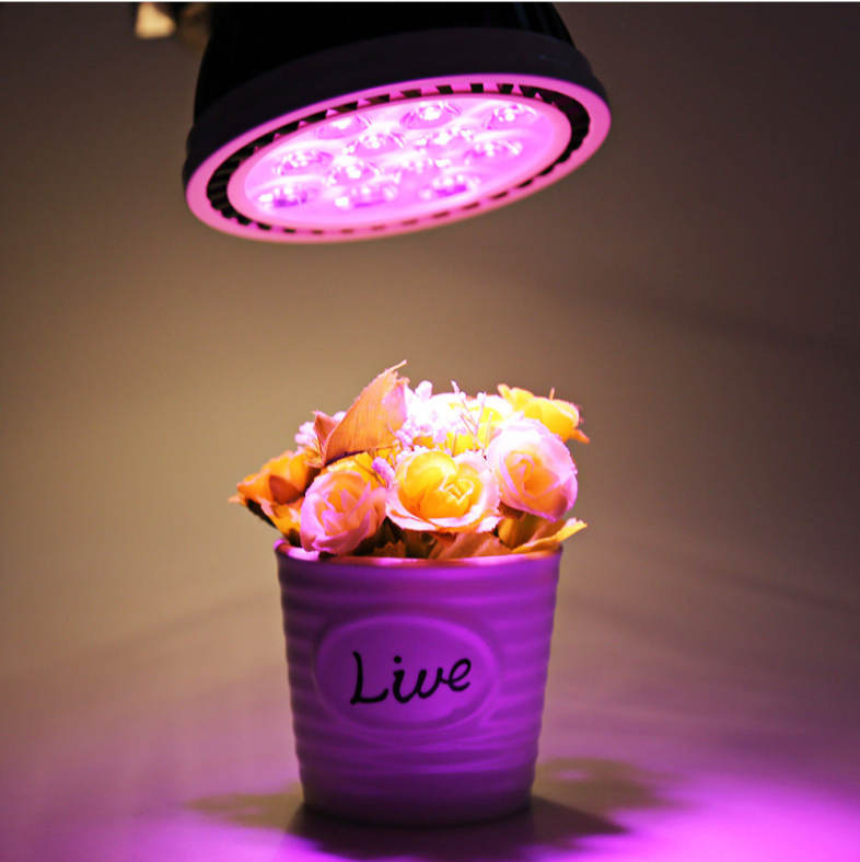 AC 85 - 265V E27 12W 1080LM Full Spectrum LED Grow Light Plant Fill Lamp with 12 LEDs