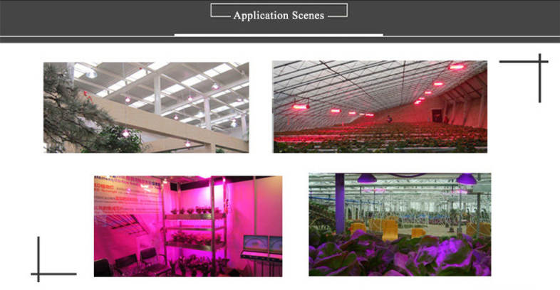 AC 85 - 265V E27 12W 1080LM Full Spectrum LED Grow Light Plant Fill Lamp with 12 LEDs