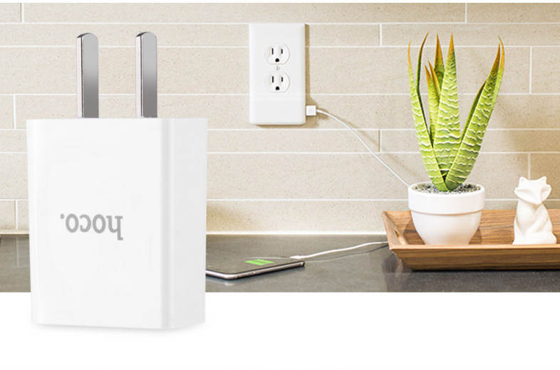HOCO C10 Single USB Output Smart Charging Adapter
