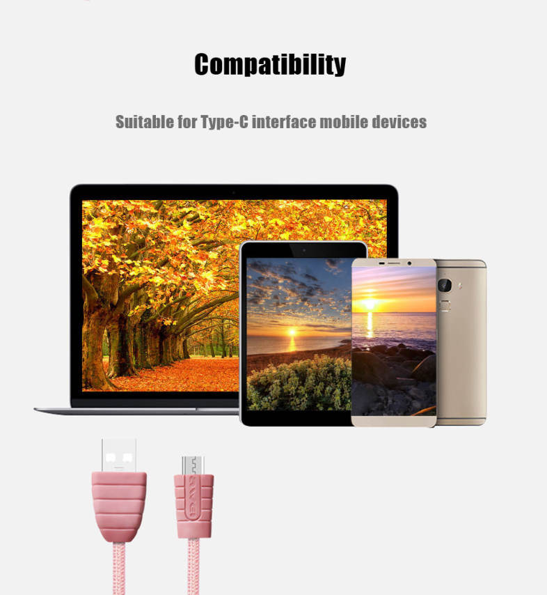 Awei CL - 985 Type-C Nylon Braided Charge Data Transfer Cable 1m