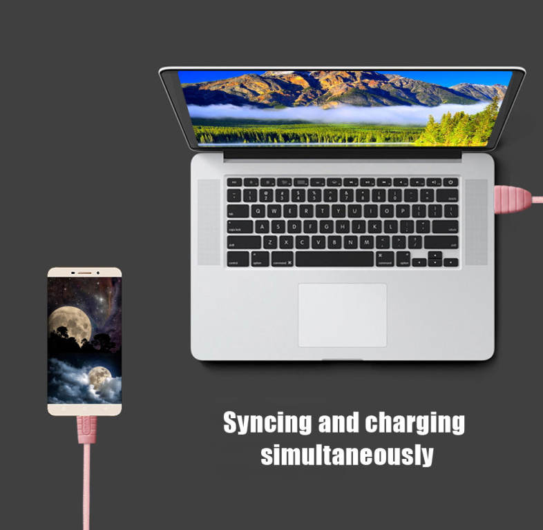 Awei CL - 985 Type-C Nylon Braided Charge Data Transfer Cable 1m