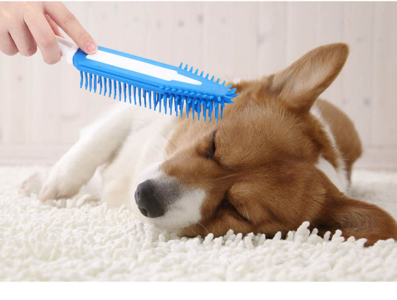 Pet Dog Puppy Cat Bristle Bath Brush Comb Deplitation Silicone Sticky Hair Tool