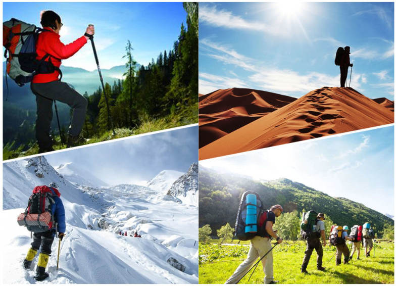 CLEYE 3 Joint Aluminum Alloy Anti-shock Trekking Straight Shank Alpenstock Climbing Pole Crutch