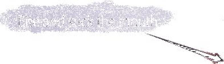 AONIJIE 12L Unisex Sports Bag Backpack with 2L Water Bag for Hiking Climbing