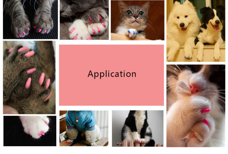 20pcs Pet Dog Nail Caps Claw Control Protector Cover with Adhesive Glue