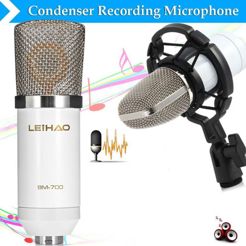 LEIHAO BM - 700 Condenser Sound Recording Microphone with Shock Mount for Radio Braodcasting
