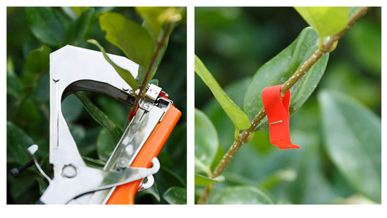 20pcs Flower Nursery Grafting Tape Garden Tool for Bind Branch Machine