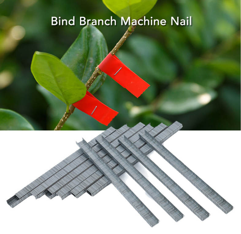 Bind Branch Machine Nail Strapping Grape Binding Tool