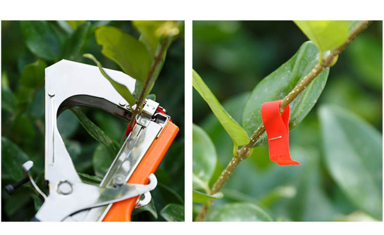Bind Branch Machine Nail Strapping Grape Binding Tool
