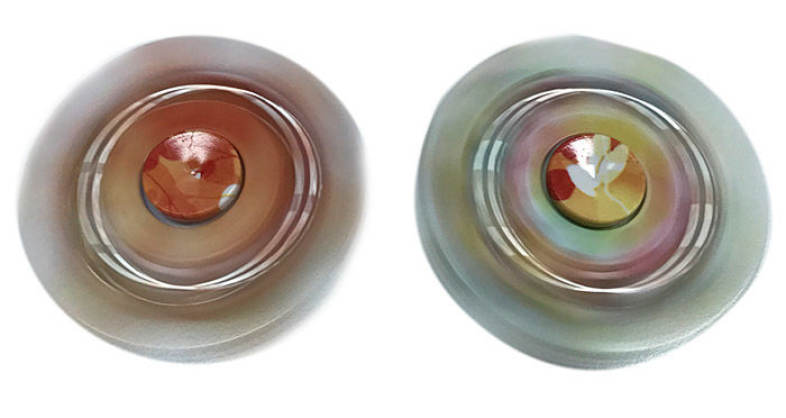 Anti Stress Snowflake Shape Ball Bearing Hand Spinner