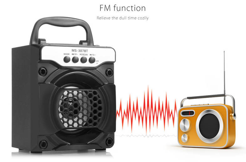 Redmaine MS - 307BT Portable Bluetooth Speaker with LED Lights 3 inch Driver Unit