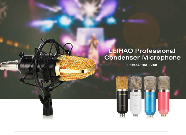 LEIHAO BM - 700 Professional Condenser Microphone Studio Broadcasting Recording